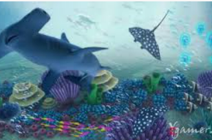 196体育经典版正式版